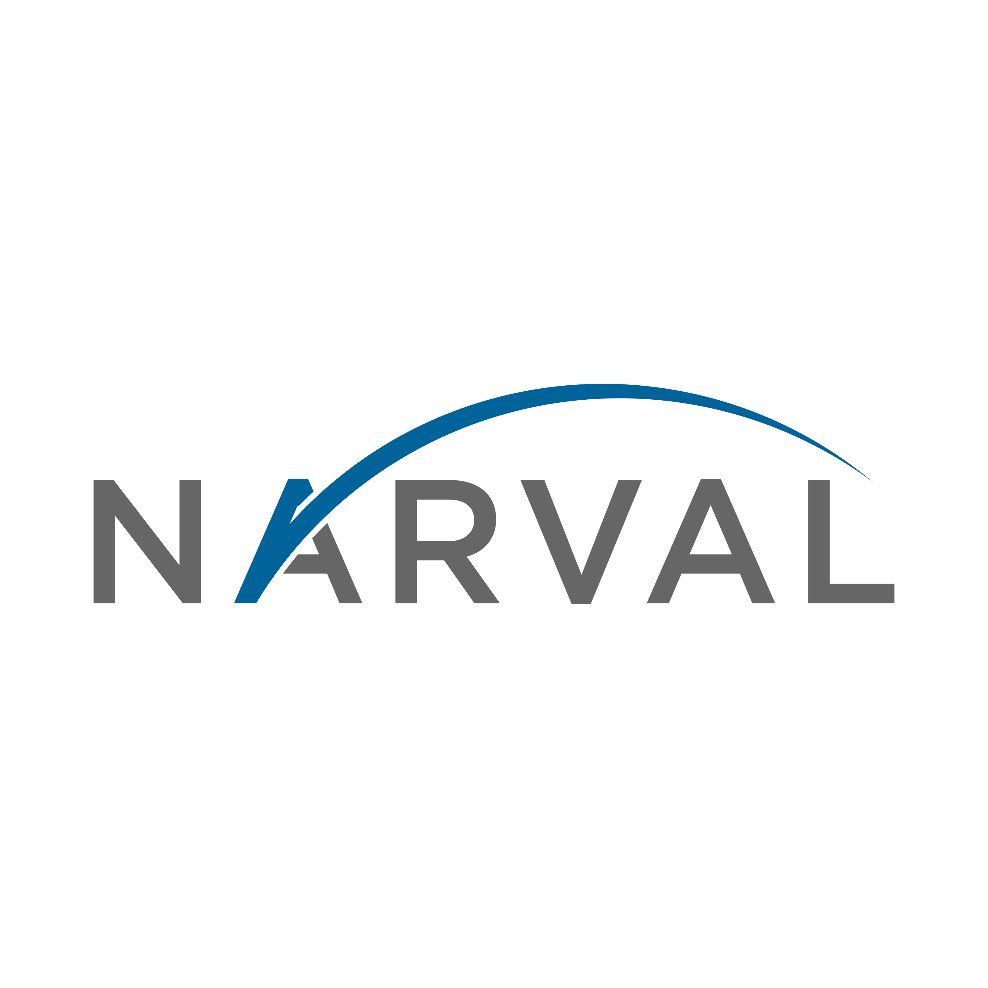 Narval Holding Corp.